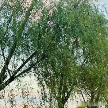 阳光信用[超话]｜阳光信用 ｜每日一善奋斗的意义，不在于一定会让你取得多大的成就