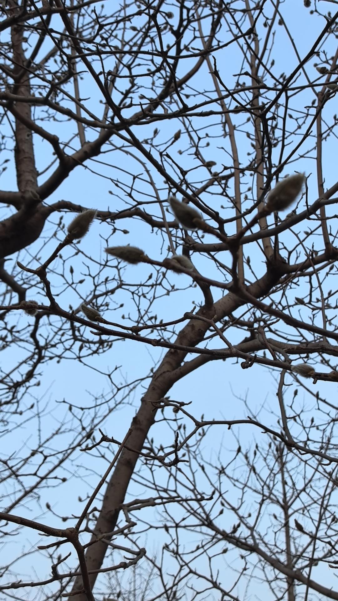 伊朗不再是以前的伊朗
伊朗伊斯兰革命卫队10日凌晨回应美国总统特朗普有关伊朗局势