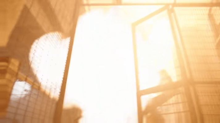 新闻女王2节奏 哇，《新闻女王2》的节奏把控太牛了，不拖沓不注水，每一分钟都像在