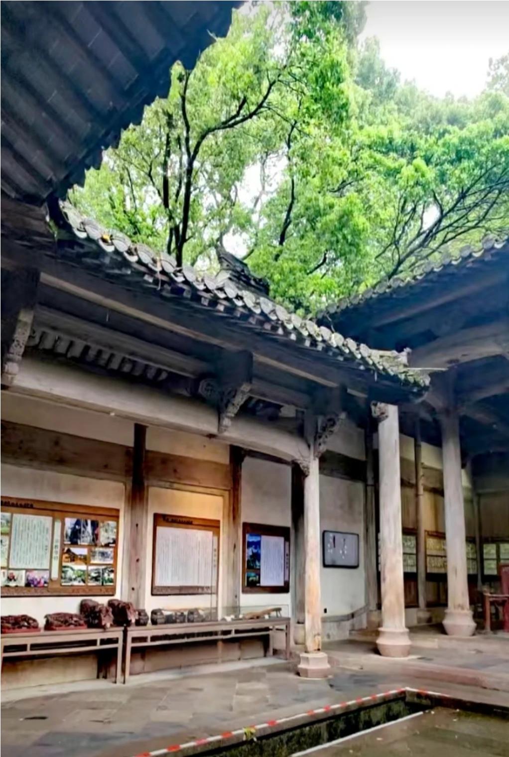 稳定与发展哪个更重要
 
稳定与发展相辅相成，缺一不可，但稳定是前提，发展是目标