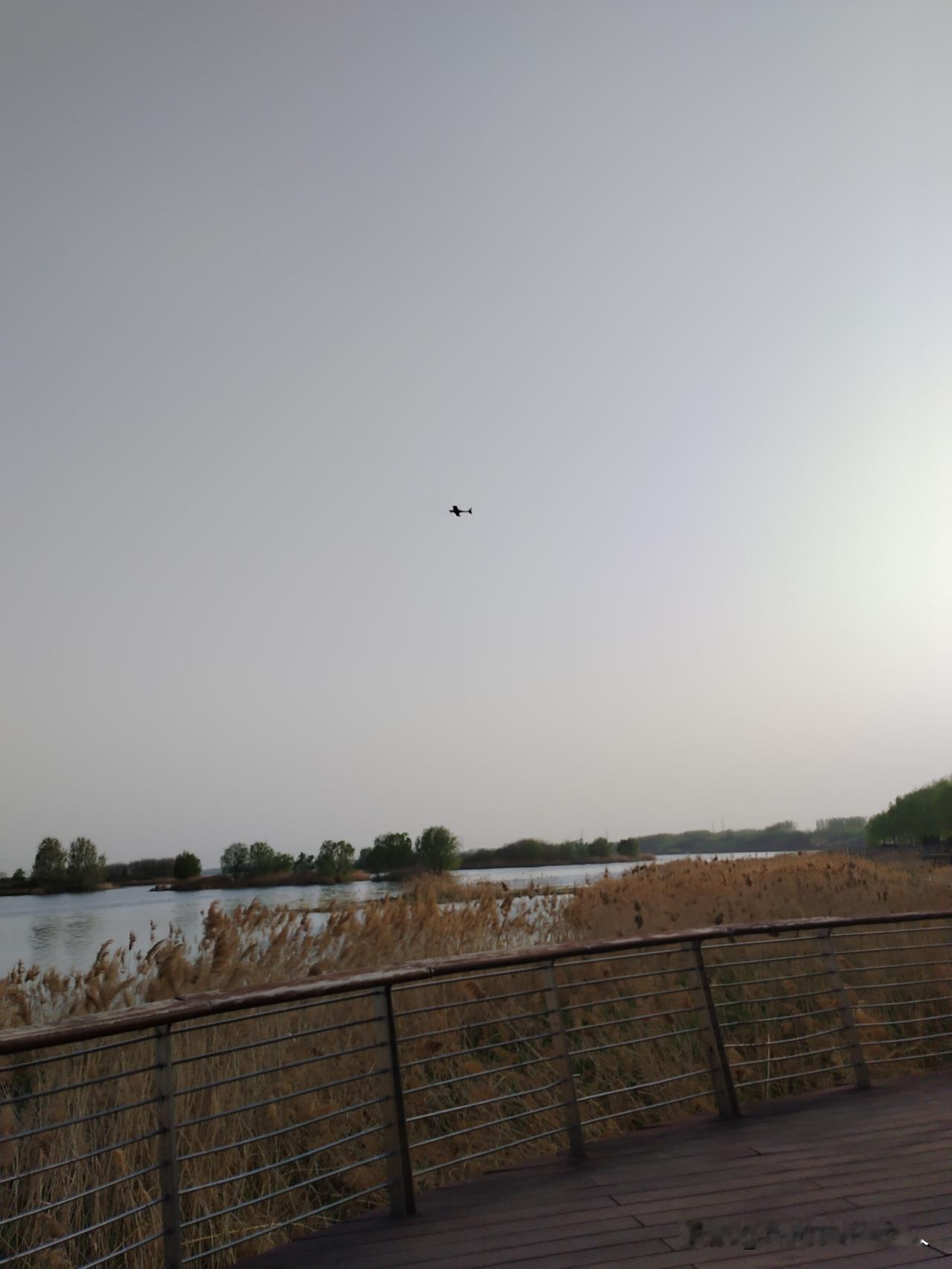 周末逛湿地公园，太治愈啦！
 
周末特意跑去湿地公园玩，一整个被舒服到了！

站