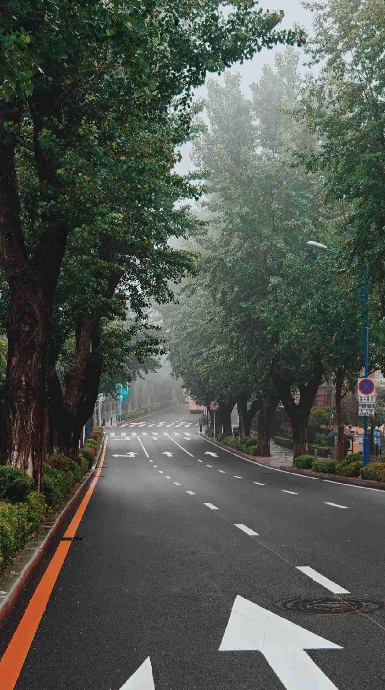 我的今日状态：😁轻松愉快
我这里的天气：🌧下雨

经历看透人心，
教训读懂人