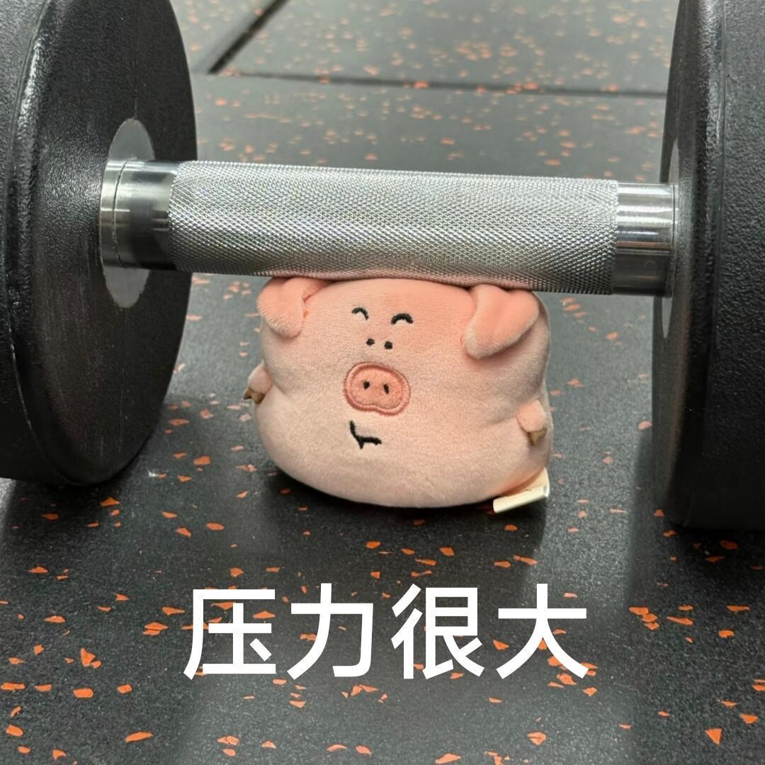 今天忙成陀螺了速速下班 