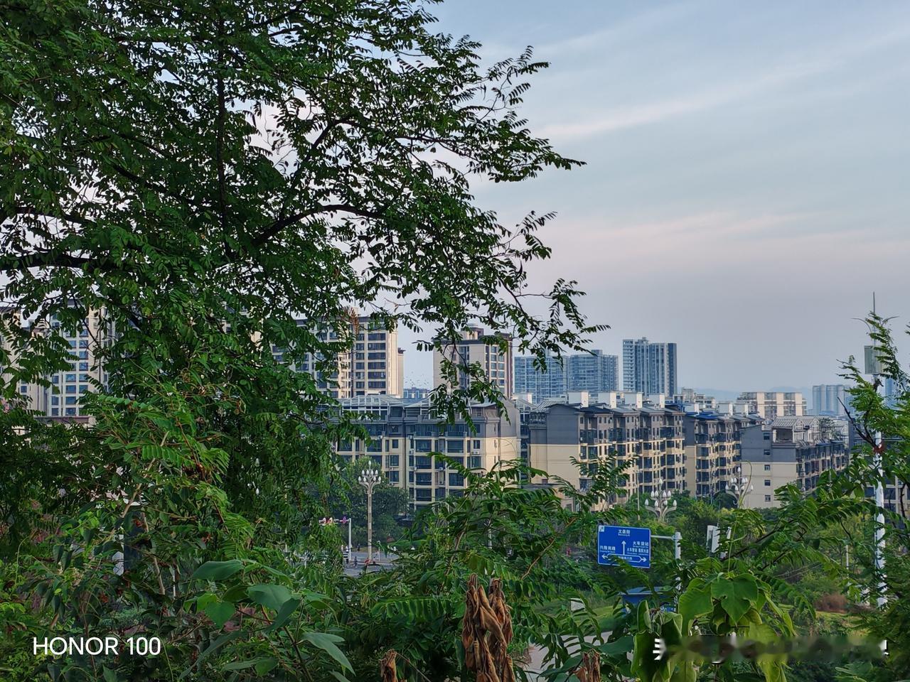 随手拍张照 远眺城市，近赏绿植，心旷神怡。