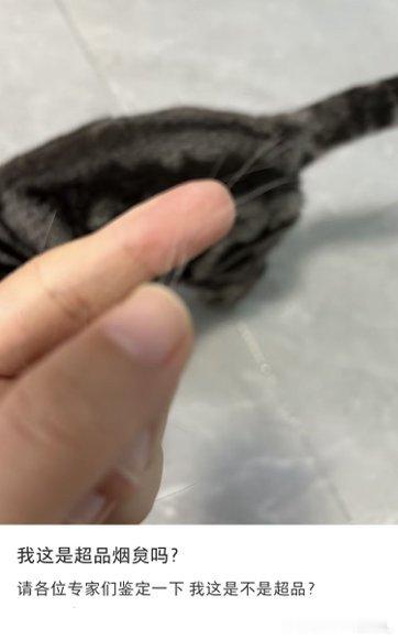 杨紫手指甲黑的原因找到了  杨紫指甲黑原来是搓烟炱搓的！《家业》直播梗无缝衔接，