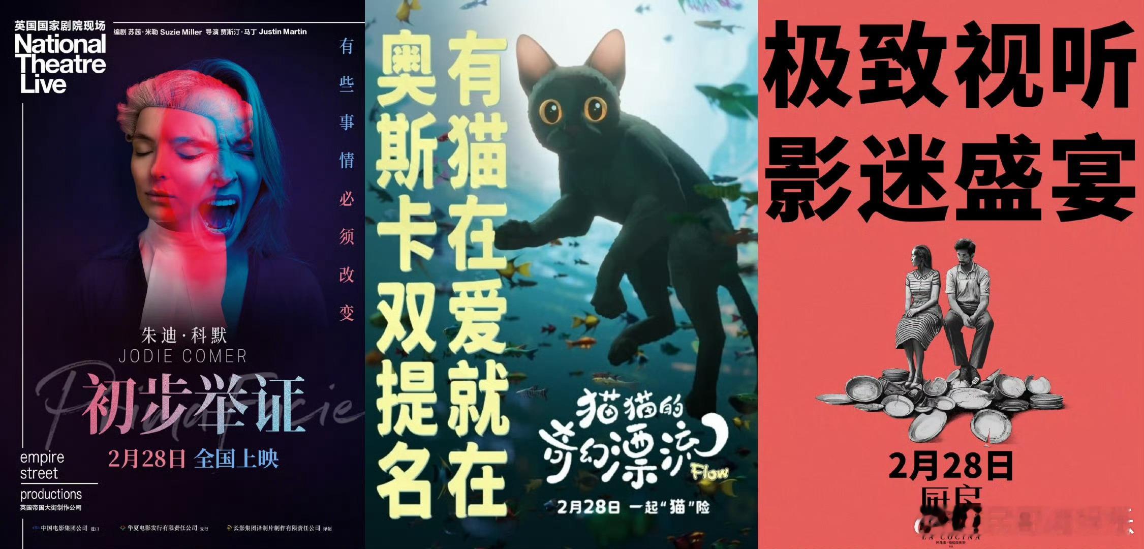 猫猫的奇幻漂流今日上映  金球奖最佳动画电影来啦！在末世洪水中，猫猫与动物们开启