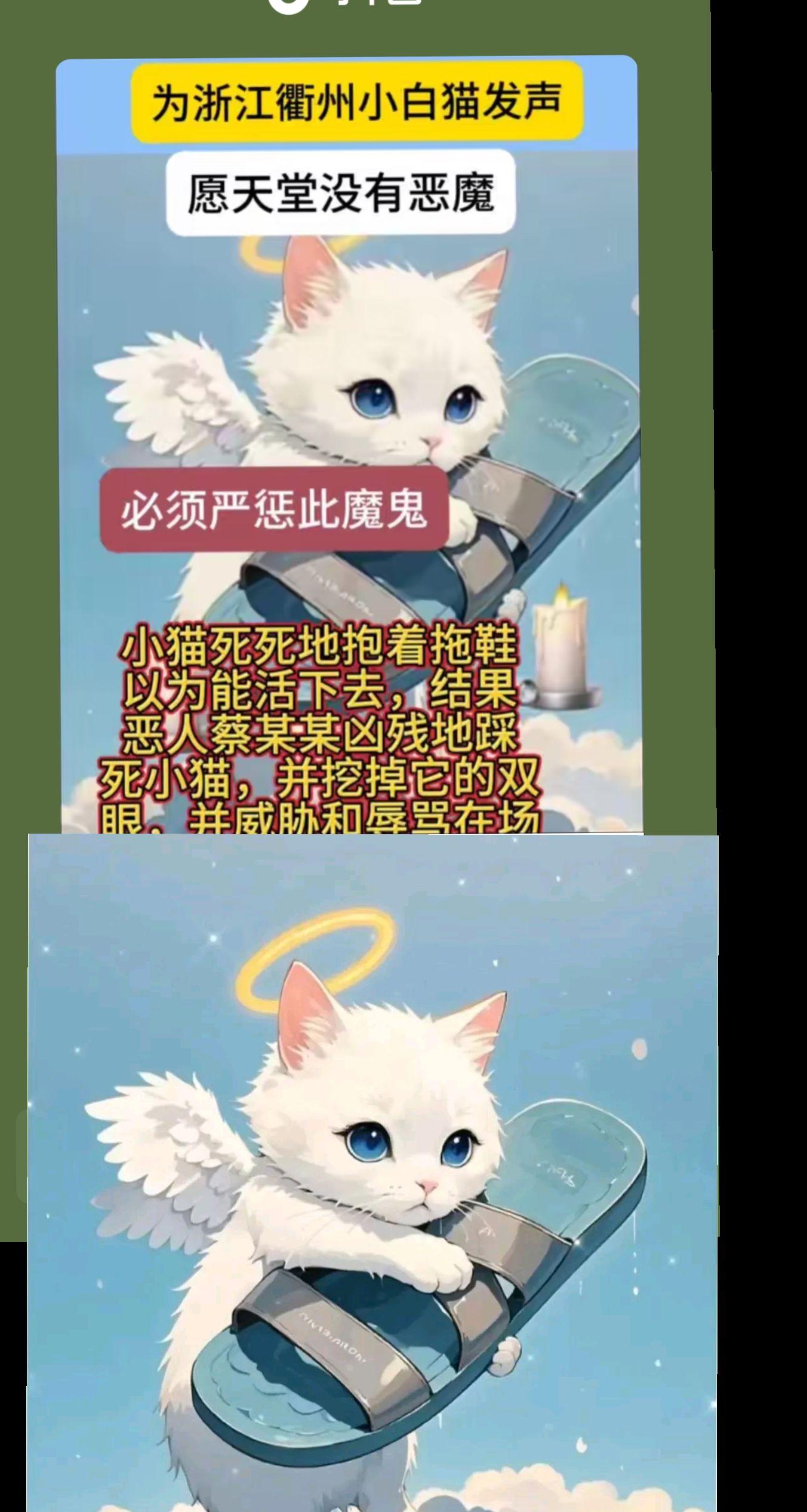 可怜的猫儿😭，坏人该受到严惩啊..希望世间有爱有正义🙏