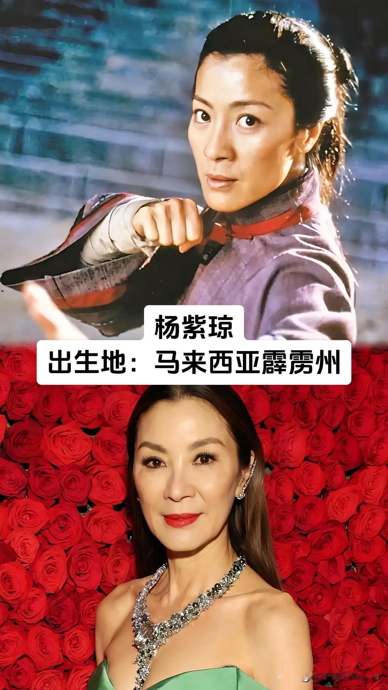 常年活跃在内地演艺圈的杨紫琼、戴佩妮、光良、李心洁、曹格、张智成、巫启贤全都来自