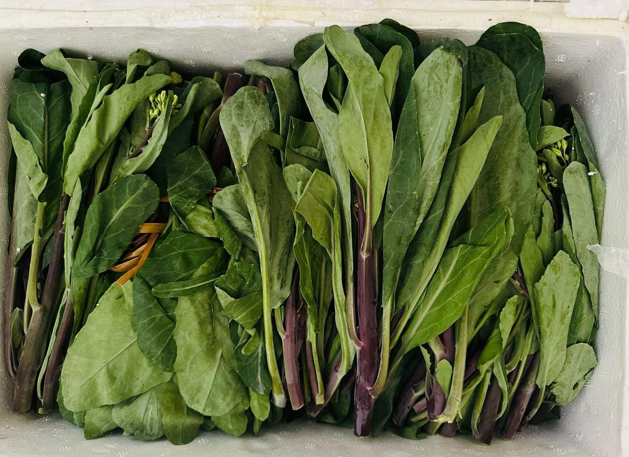 在线请教！
在农村生活过几十年，也种过很多蔬菜，自认为懂得蔬菜品种够多了。结果我