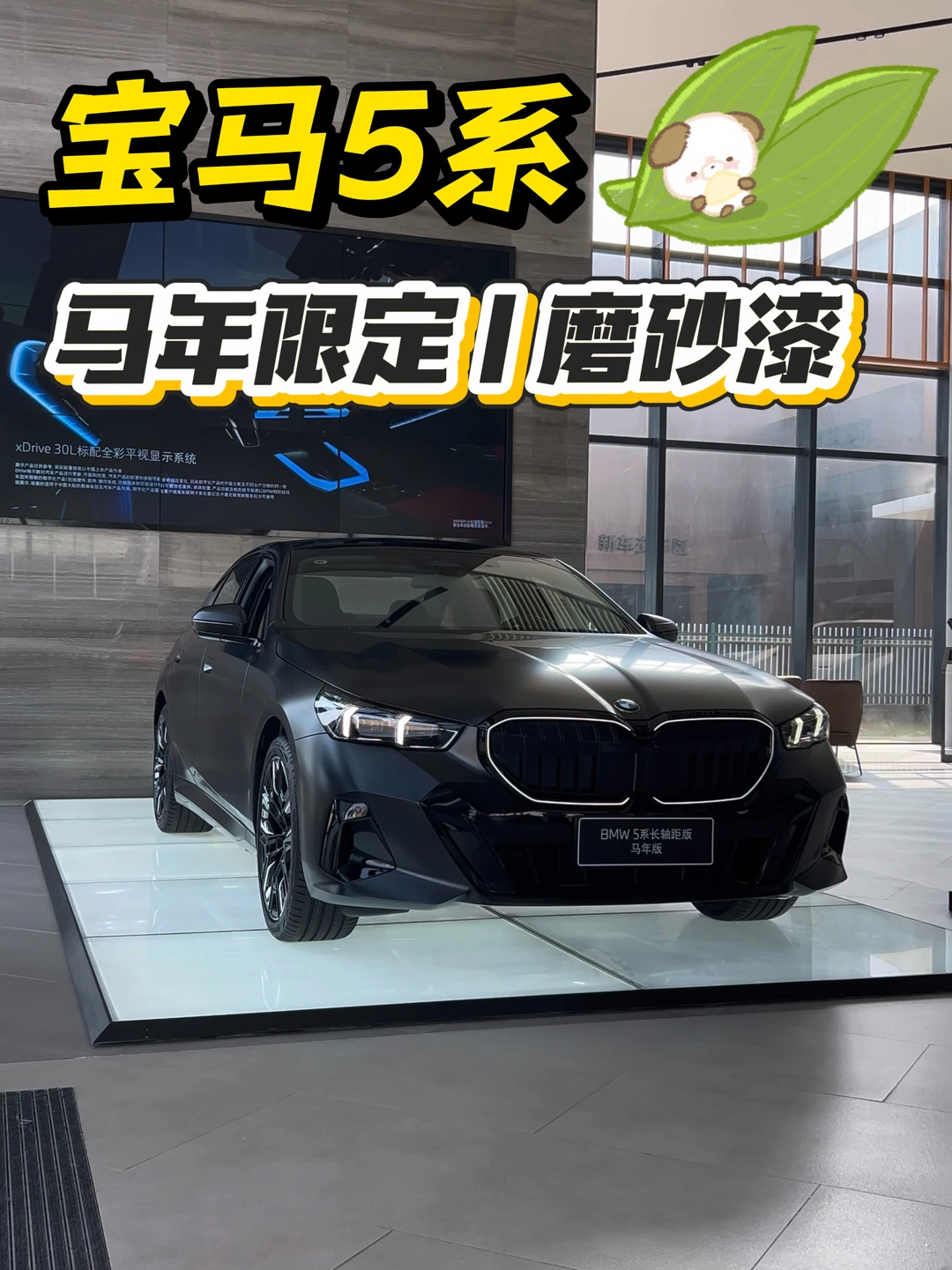 这台5系不一样｜马年限定磨砂宝石青！