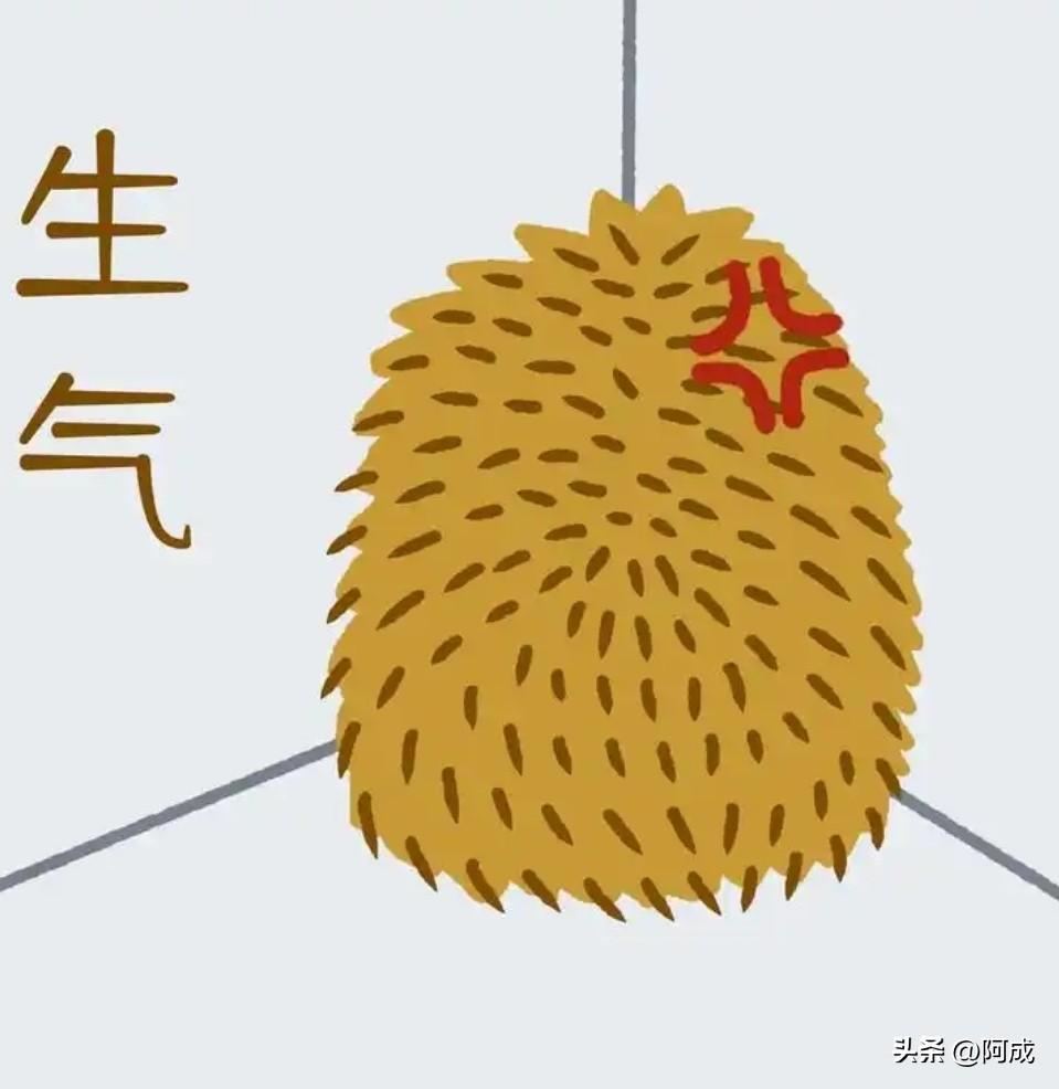 昨晚九点五十，儿子突然打电话说要回家，我问他怎么了，他说没内裤、没袜子换，只能回