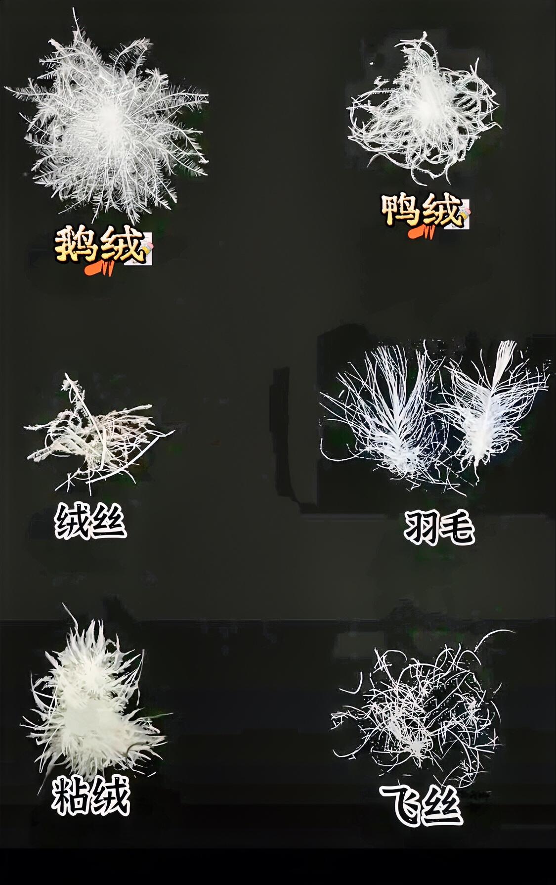 坏了，我感觉没看到真绒，基本都是毛，没看到绒，也不便宜
冬日生活打卡季今年冬天的