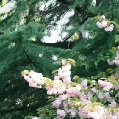 阳光信用 🌿阳光信用 🌿每日一善 善良是人间不灭的光辉，它无关声势，却能穿透