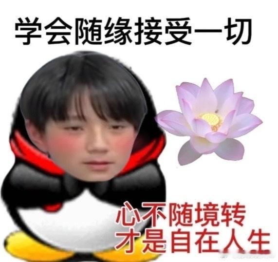 送点Sck 