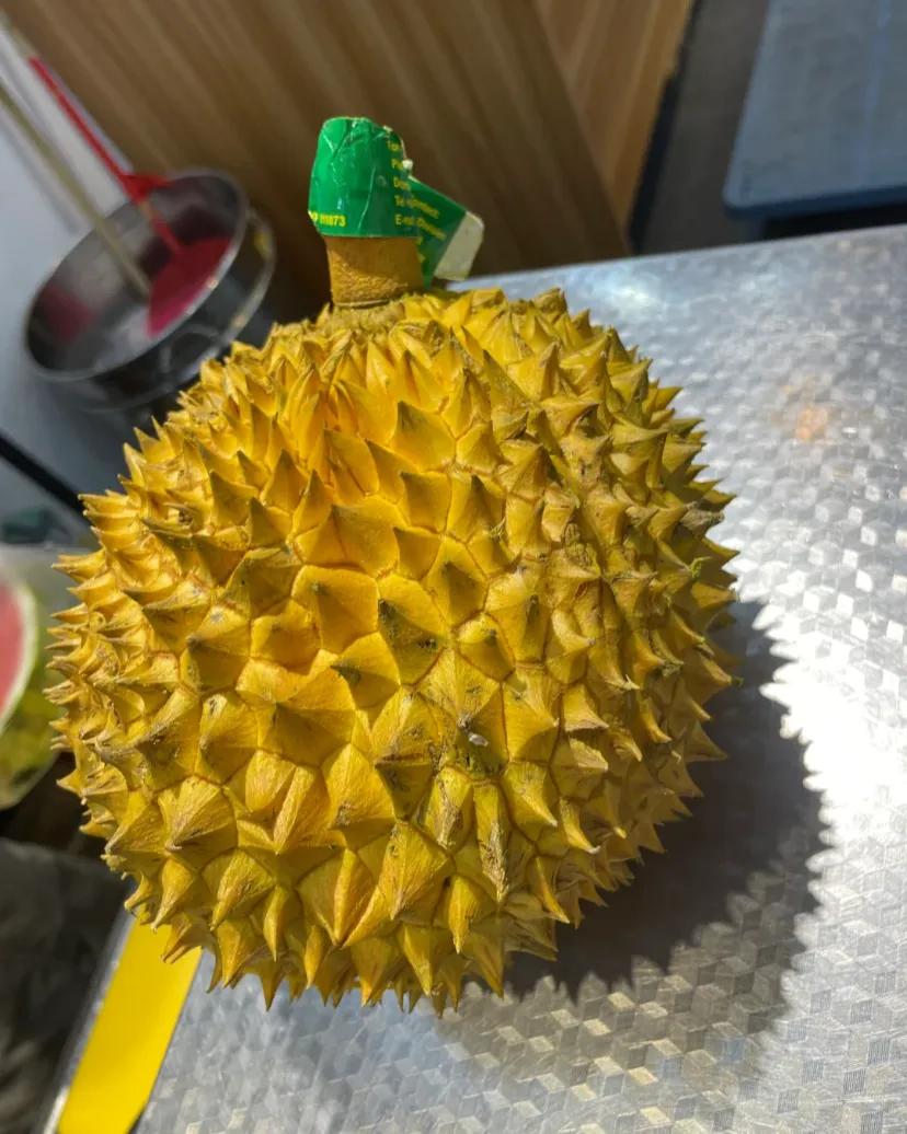 总是有那些热心的亲戚，要把出人情时的东西给小孩子。她们心也许是好的，却怎么都看不