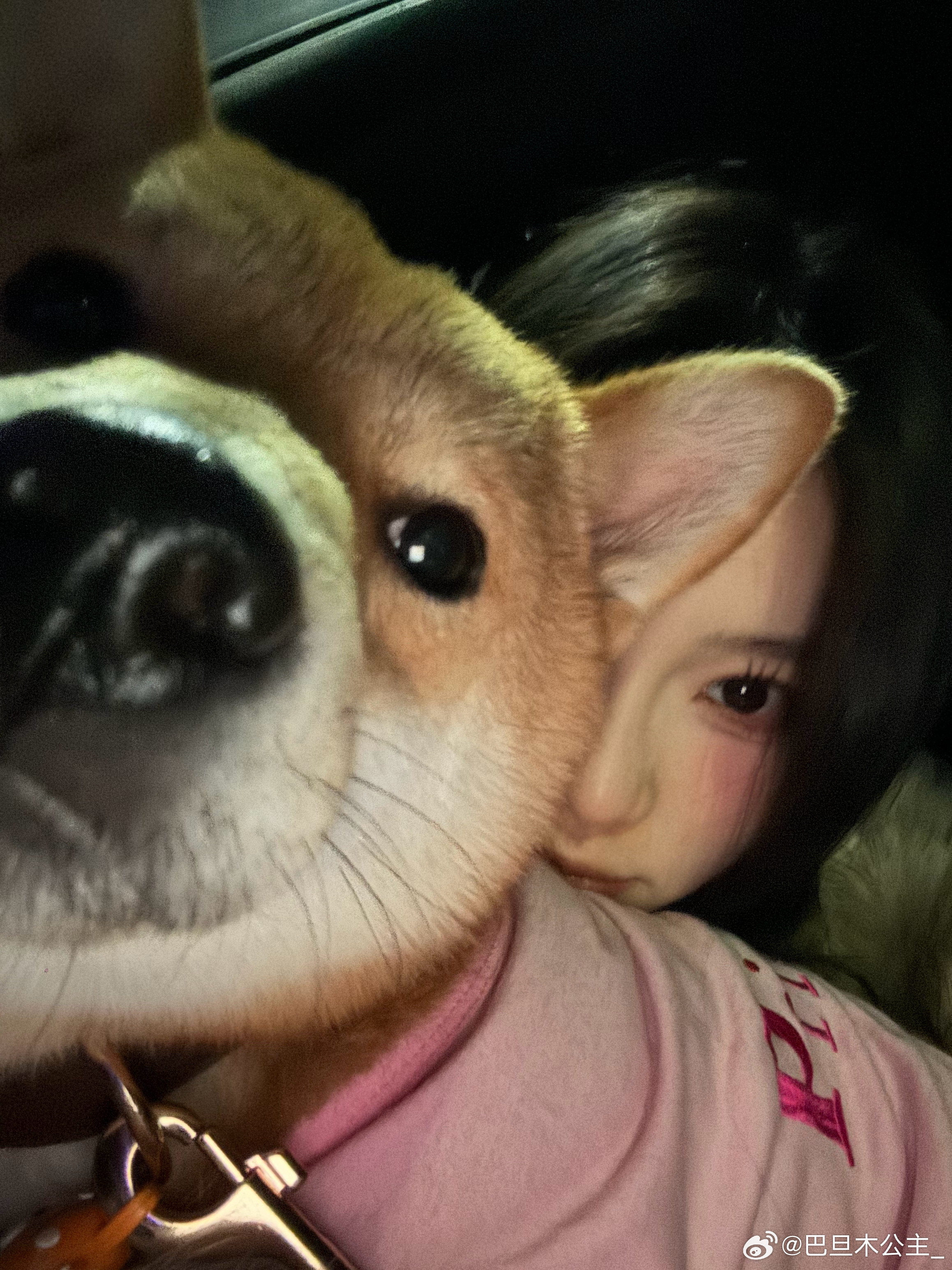 分享图片 ​​​