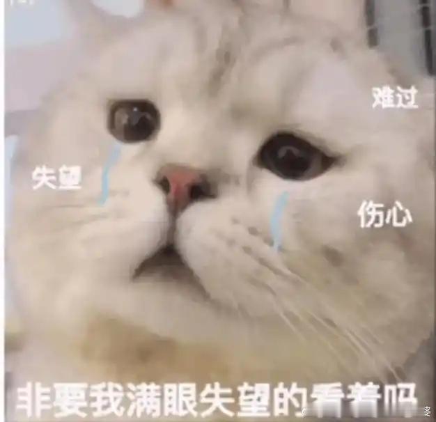 金像奖香港回归29年了，金像奖直播还不能在内地上星直播，还要等多久呢？ 