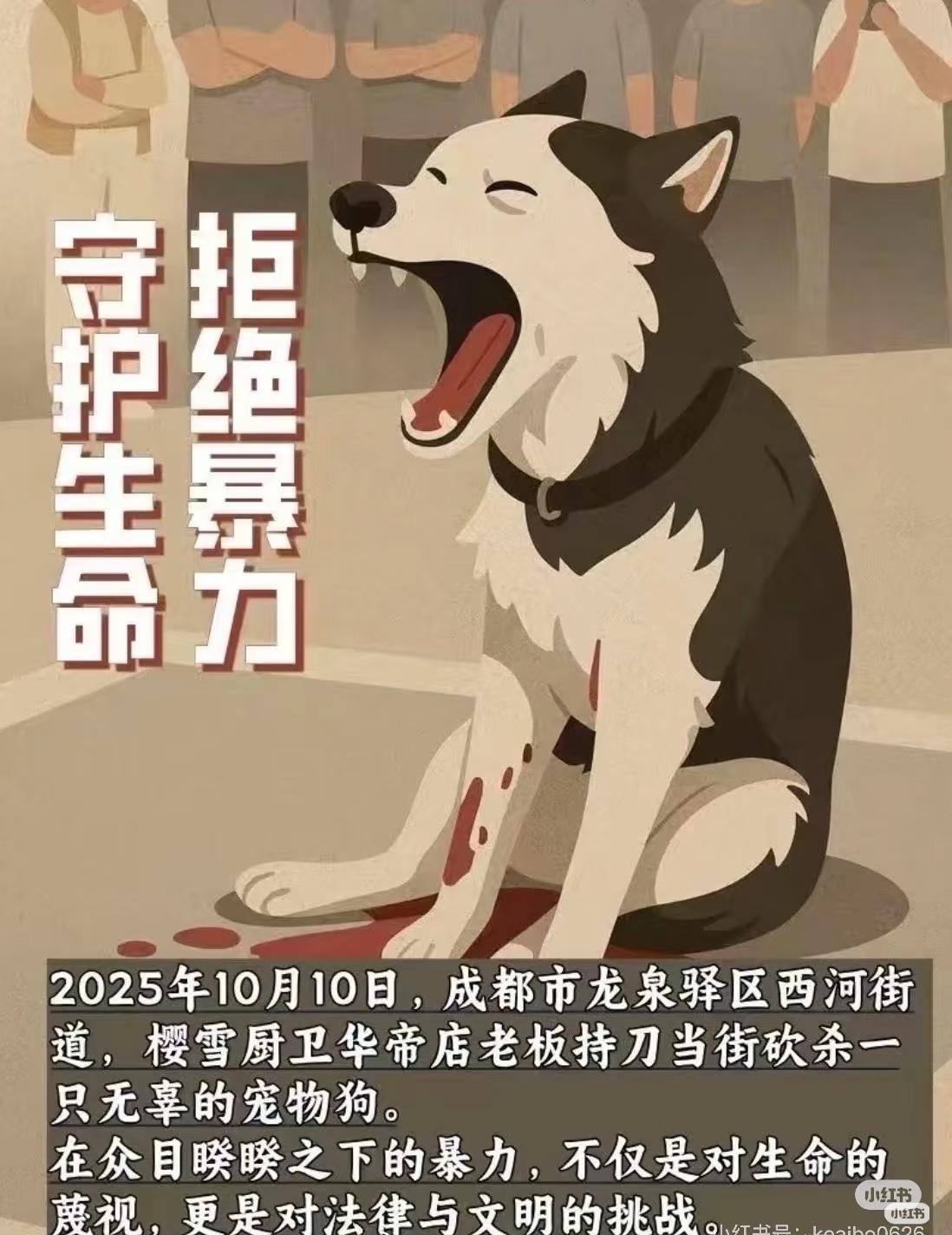 弱肉强食从来不是文明
一条狗，能有多少明智？它就像个孩子一样，做了自己认为对的事