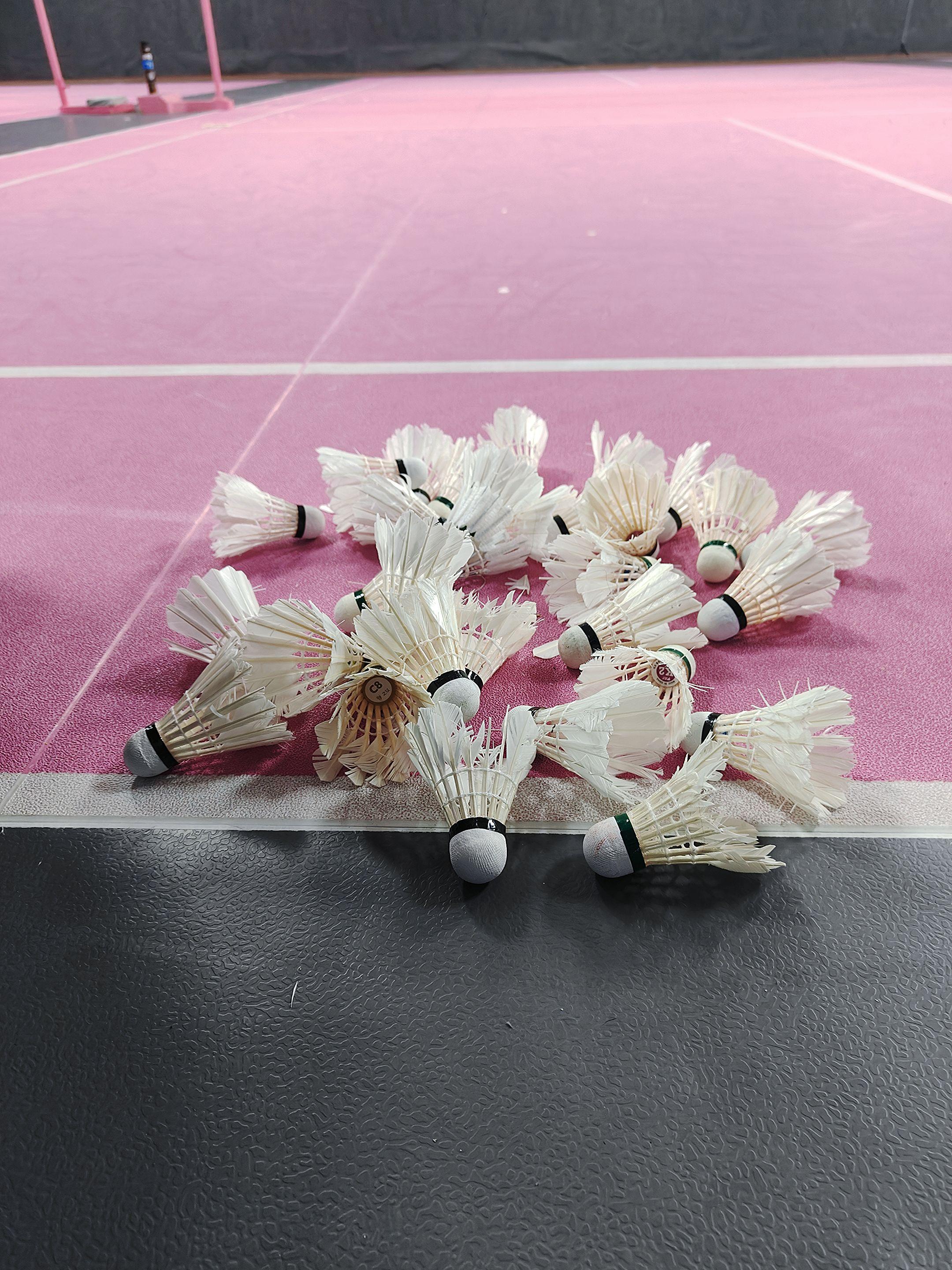 这价值谁懂呀！戒不掉的不是羽毛球而是打羽毛球的你们！  🏸