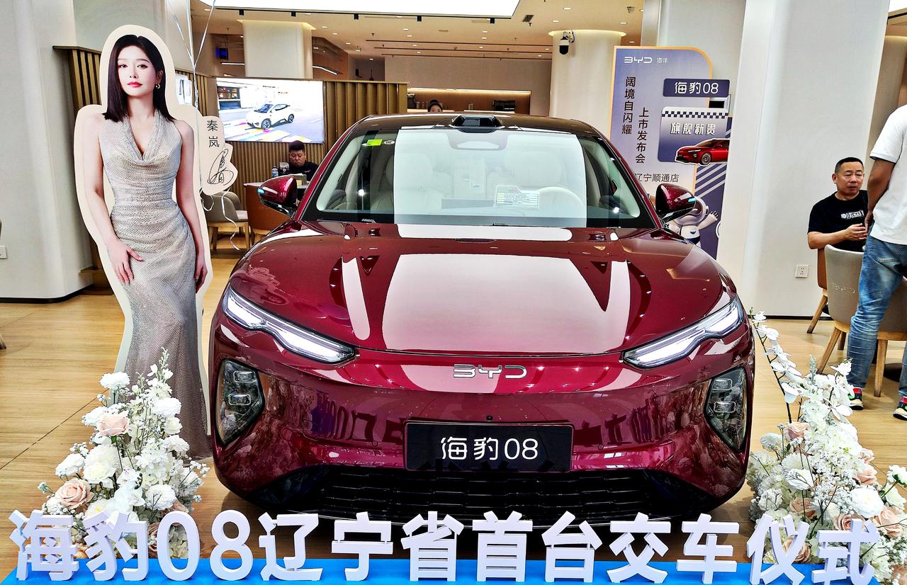 比亚迪旗舰新贵《海豹08》
   2026款比亚迪海豹08于7月2日上市，定位中