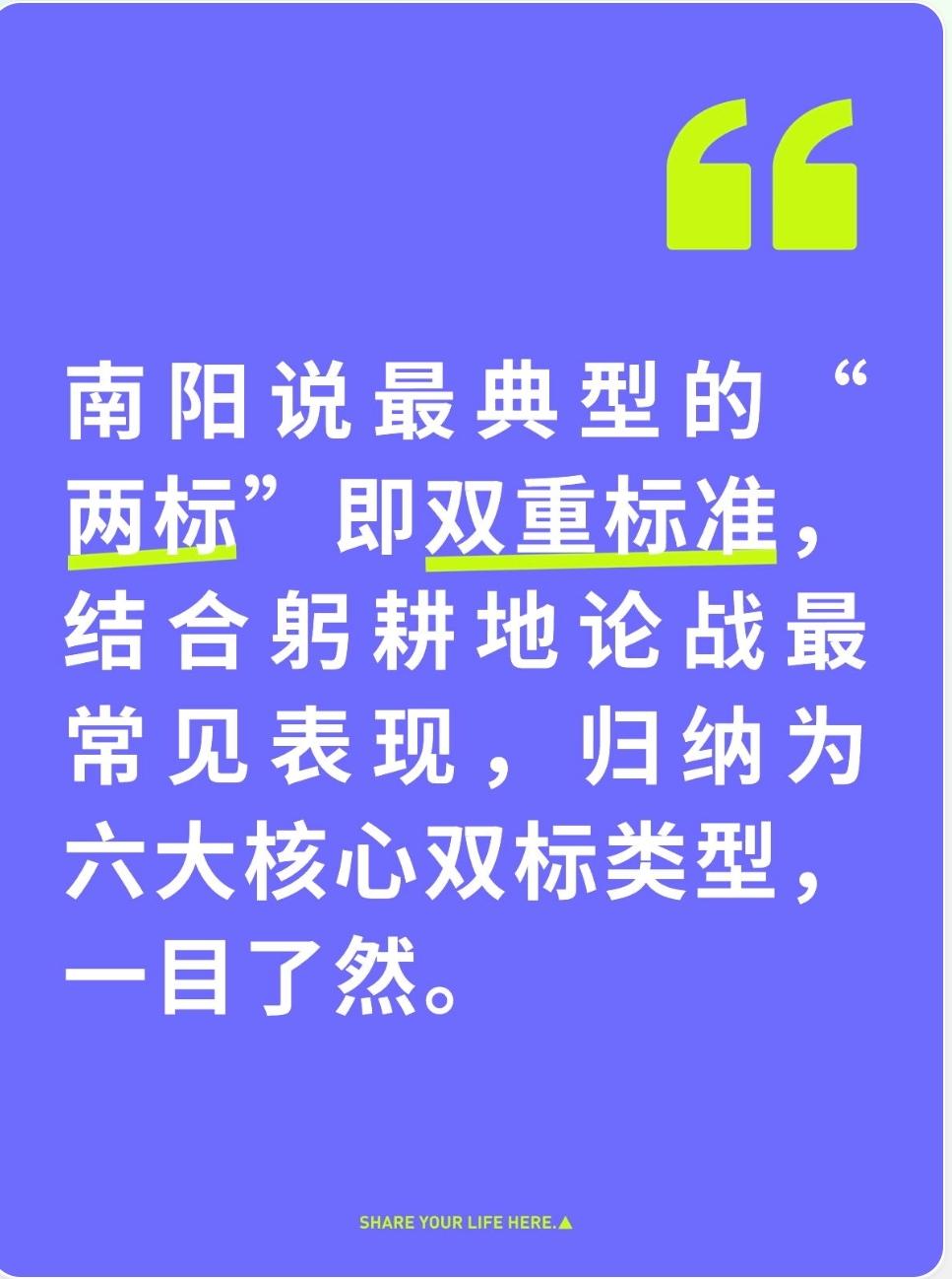 南阳说最典型的“两标”即双重标准，结合躬耕地论战最常见表现，归纳为六大核心双标类