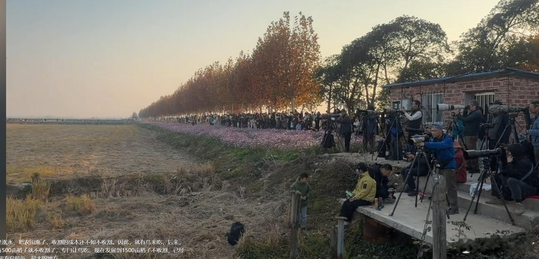 刷到一个非常有启发的地方文旅案例在靠山吃山靠水吃水的基础上，又进一步，靠生态和候