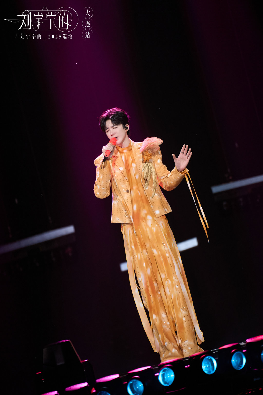 2025高产歌手TOP10 恭喜进入年度高产歌手TOP10！我们刘哥就这样演员、