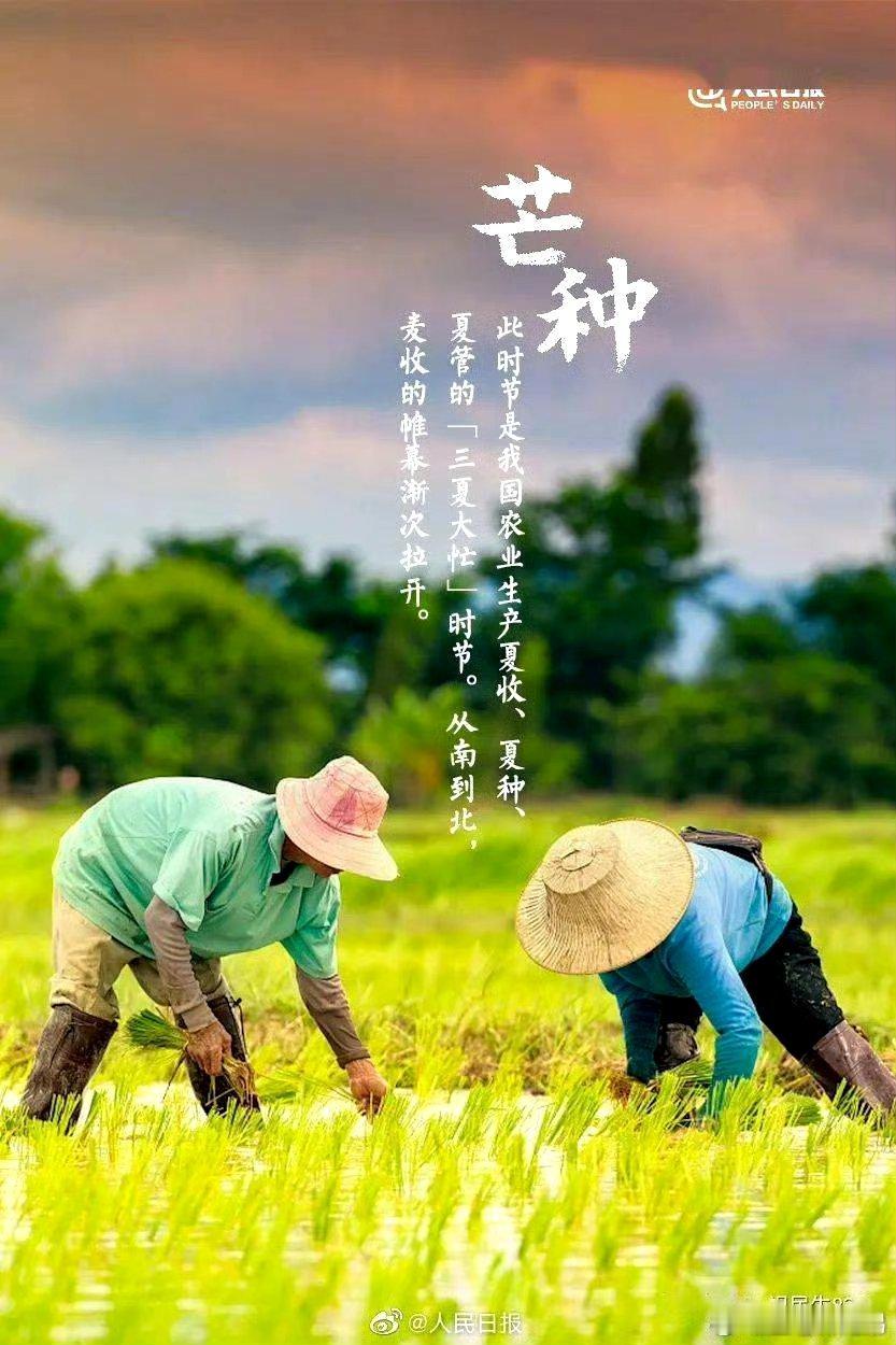 今日芒种，愿你，所有的播种都能丰收，所有的付出都有收获。在人生的路上，挥洒汗水，