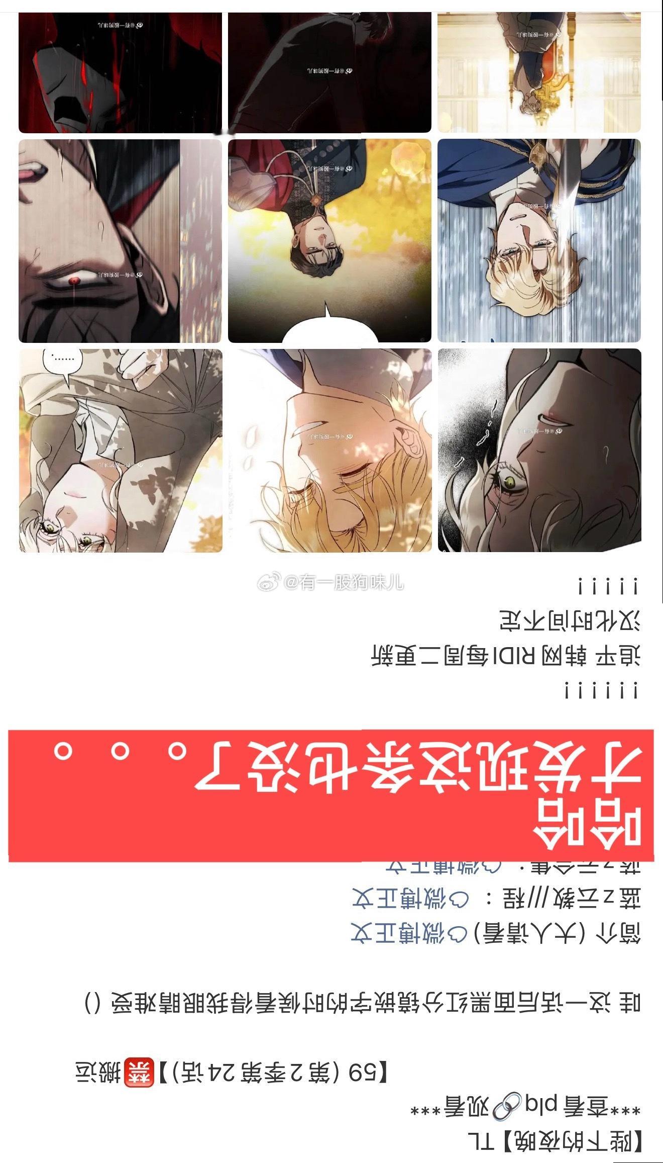 【丈夫明明是圣骑士】TL                            