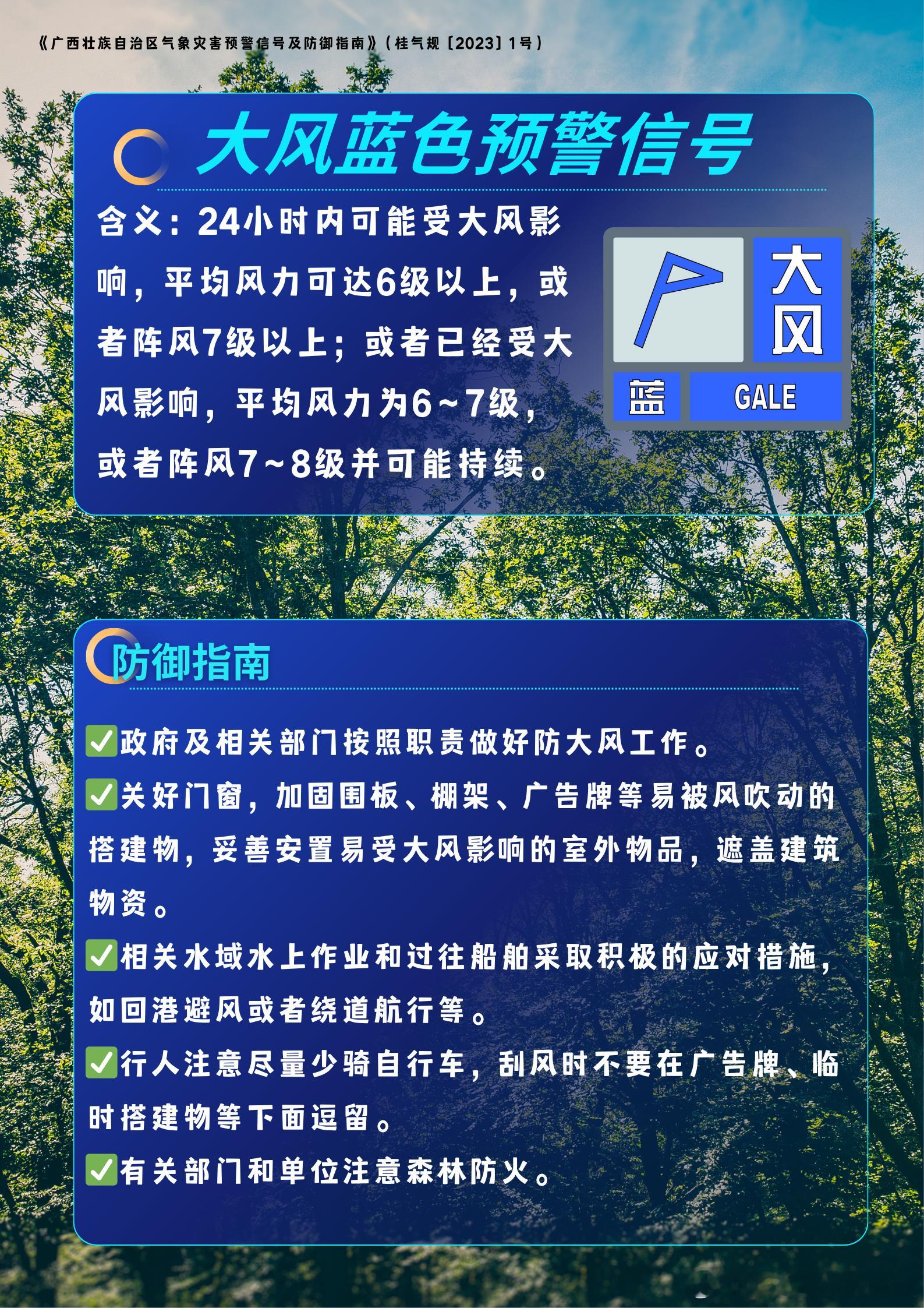 武鸣区气象台1日1时35分发布大风蓝色预警信号：受冷空气影响，武鸣区两江镇已出现