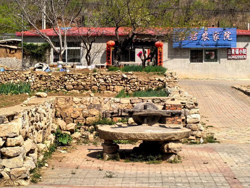 我新发布的内容被官方推荐啦！👍你也快来发布一条吧！带         我在草原