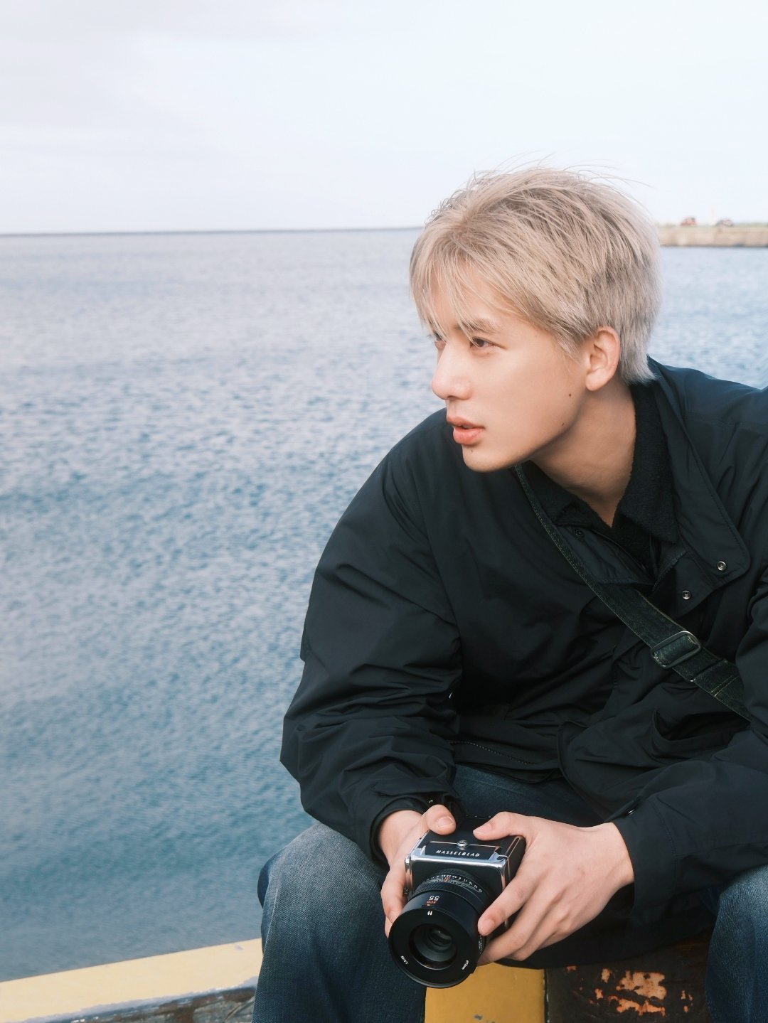 王安宇的世界信箱 王安宇 花会沿路盛开，未来的路也是山有顶峰，那就越来越好的勇敢