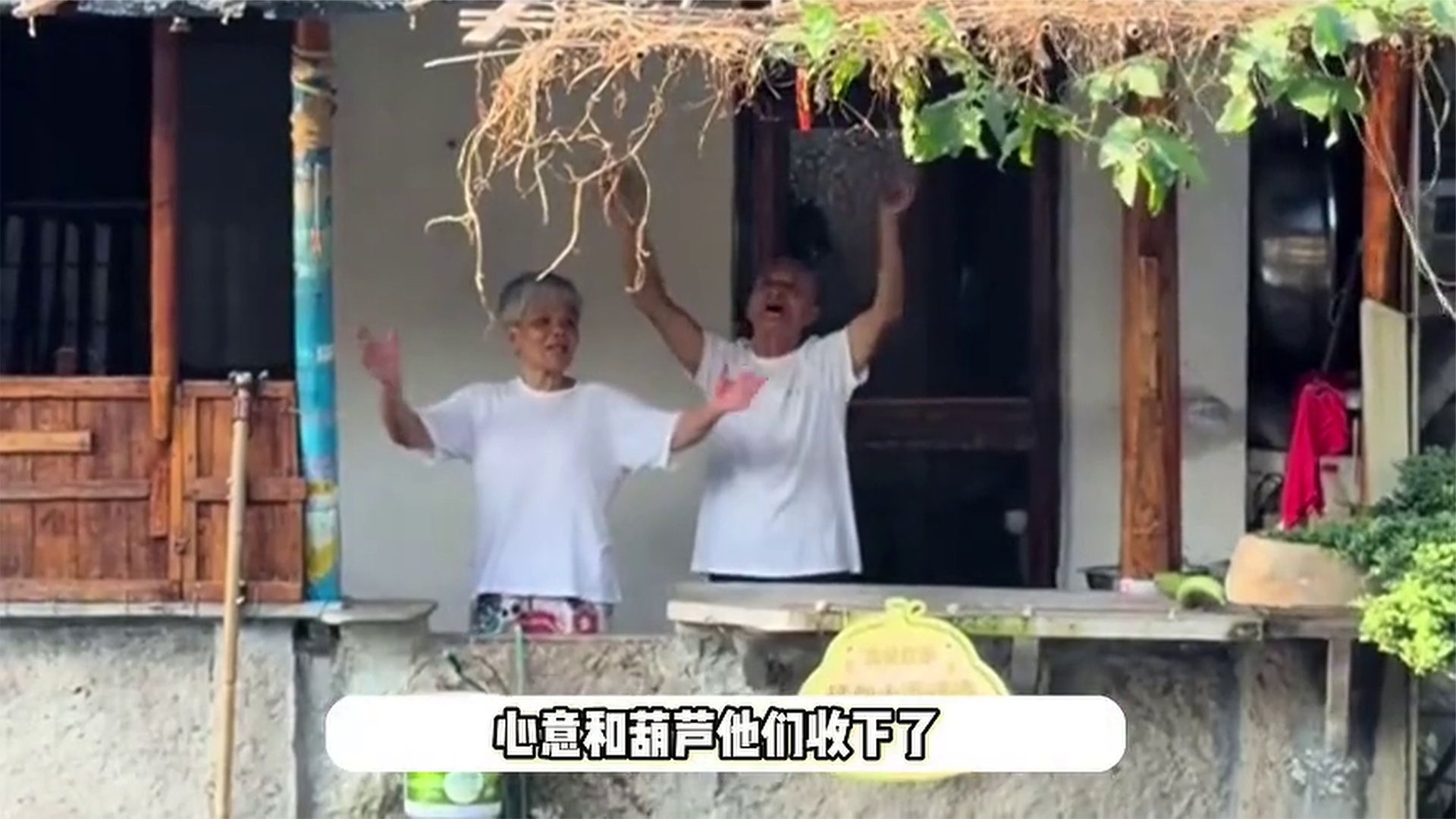 75岁“葫芦娃爷爷”剪掉葫芦后续，隔壁出现山寨葫芦，游客：人