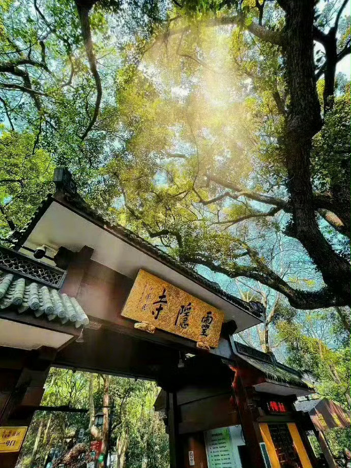刷到灵隐寺 不要无视 许愿超灵哦🙏 ​ ​​​