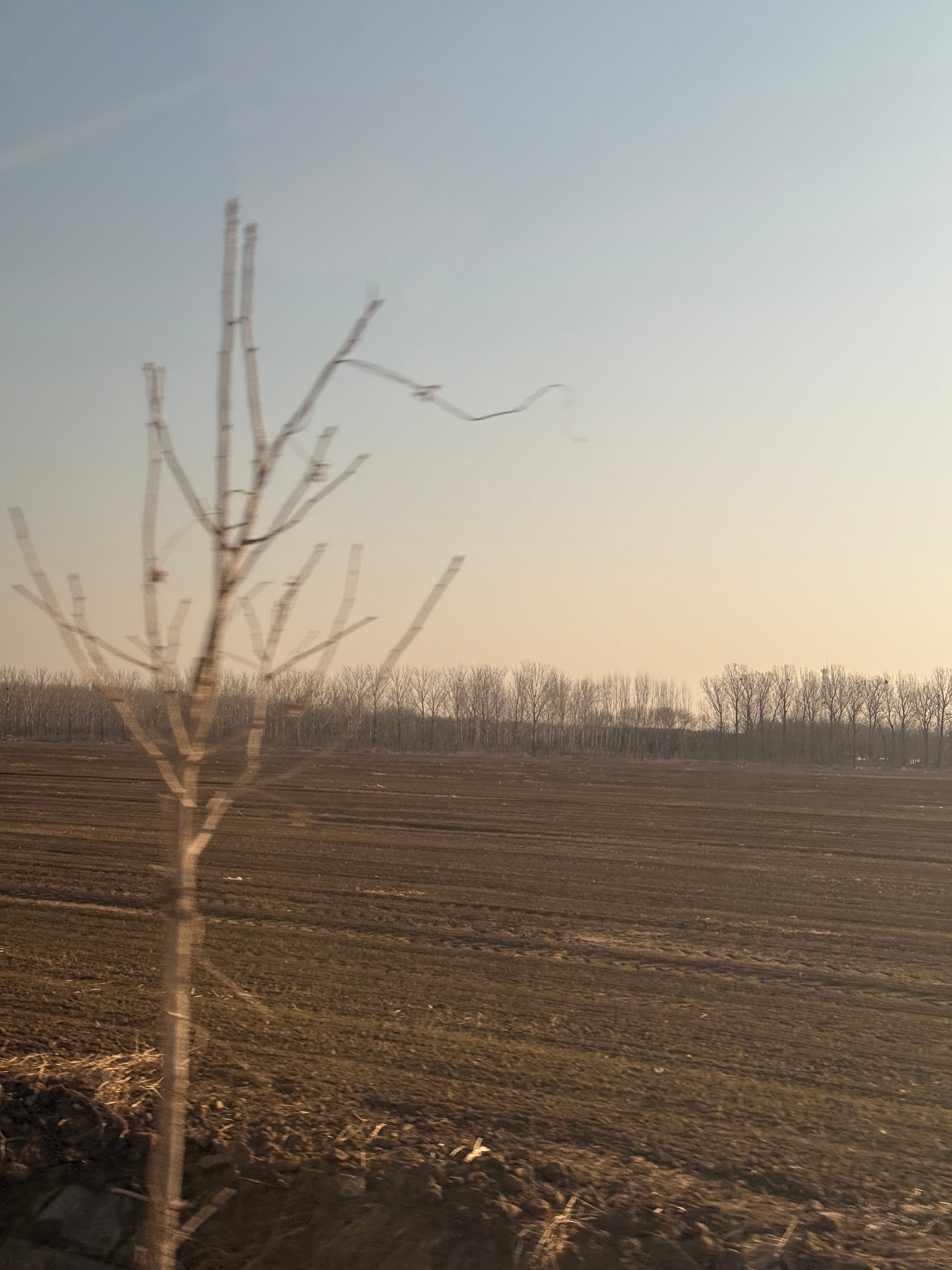 开工大吉，帅比们今日摄影作品“希望的田野” 北京·理想汽车北京研发总部A区