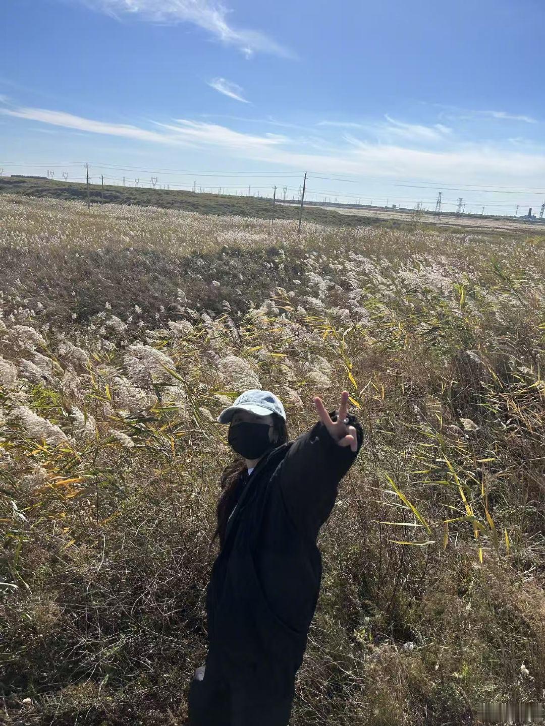 节气博主又上线了 