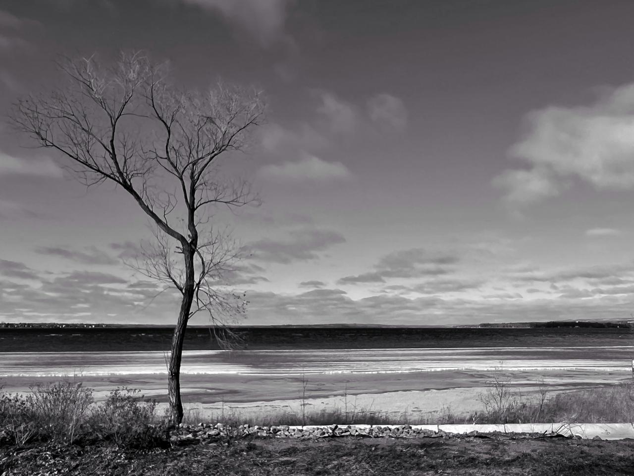乱七八糟，语言恶俗，上串下跳，前言不搭后语，颠三倒四，用人朝前不用人朝后，目光短