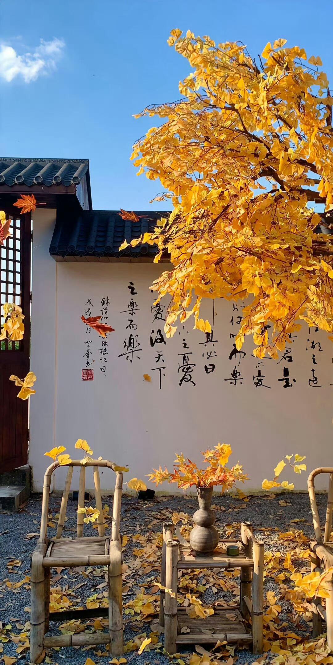 氛围感壁纸 太喜欢了！ 