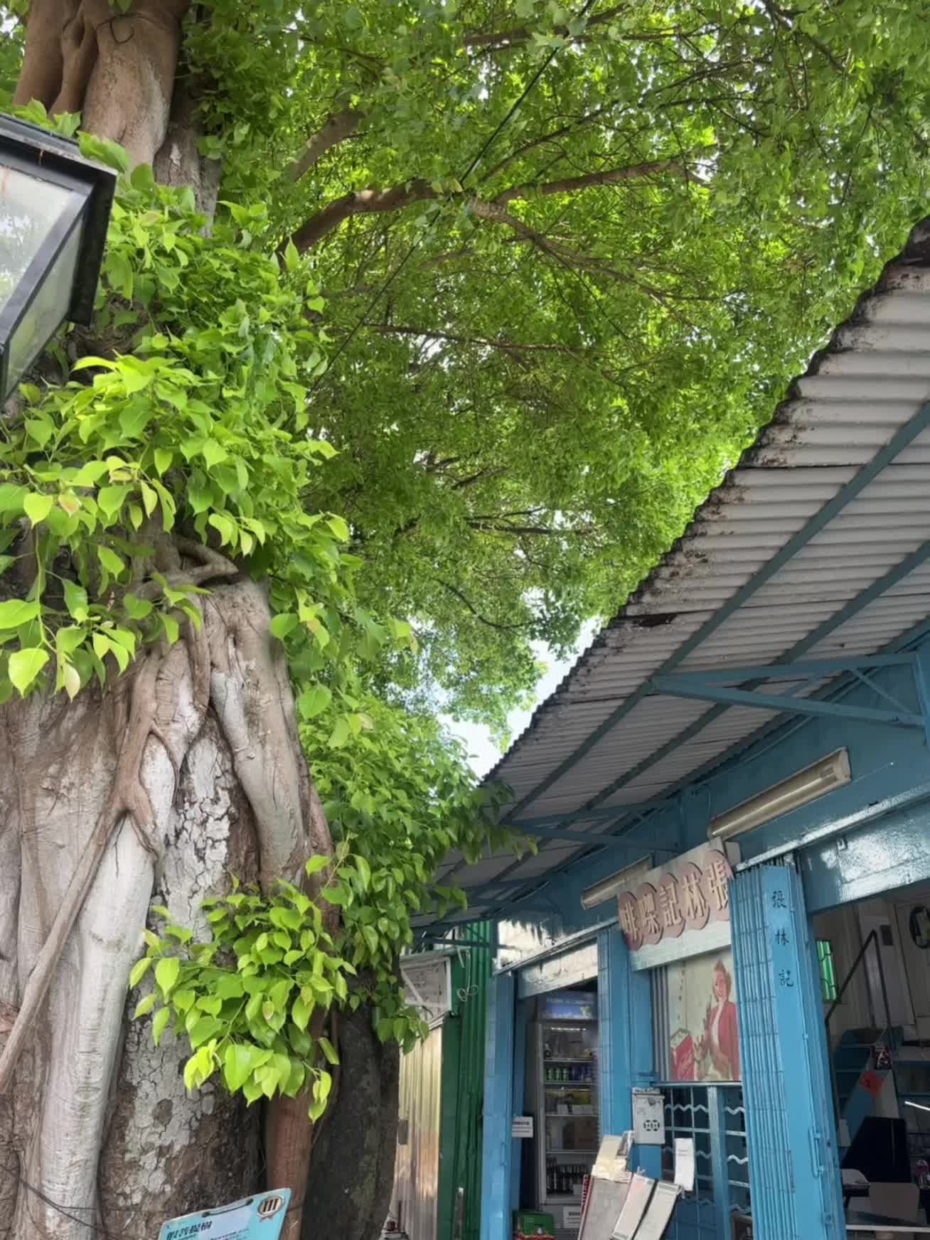 请把自己的小日子过得有声有色