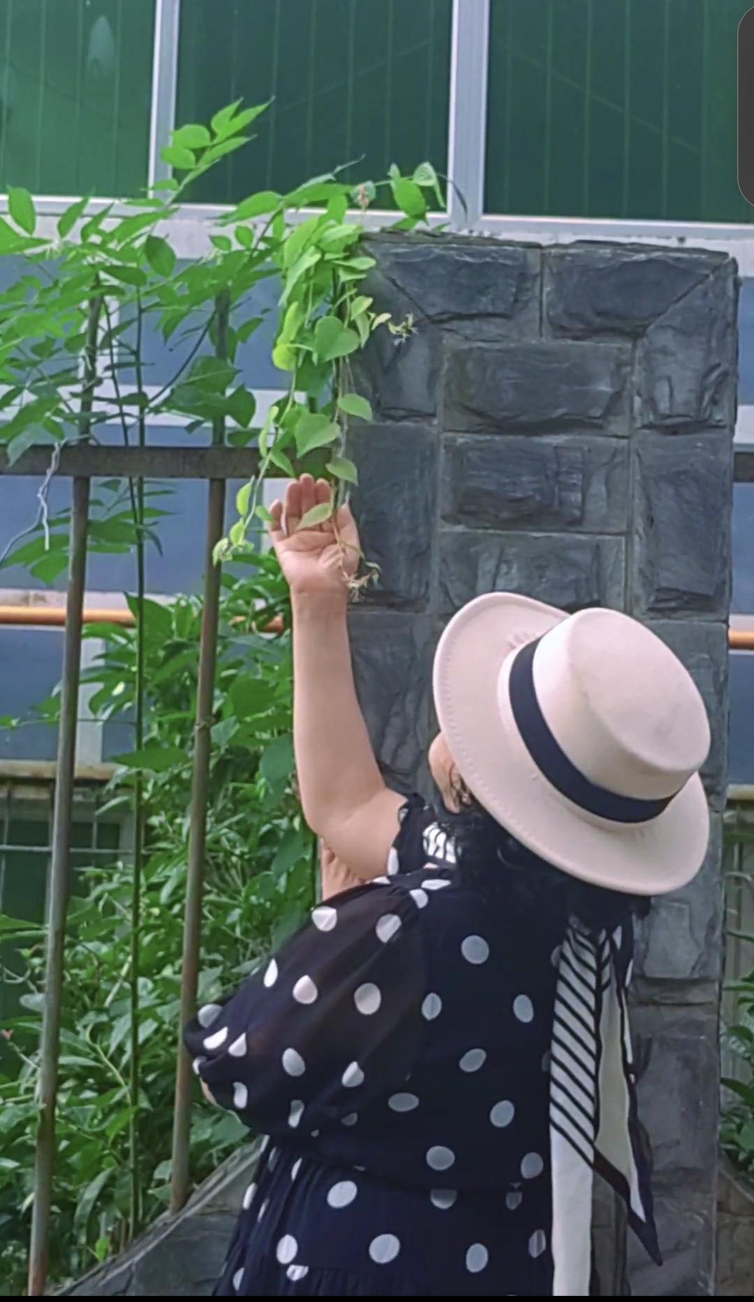 你知道男人都喜欢哪种女人吗？
首先是那种身材火辣，前凸后翘，有胸有臀的性感女人。