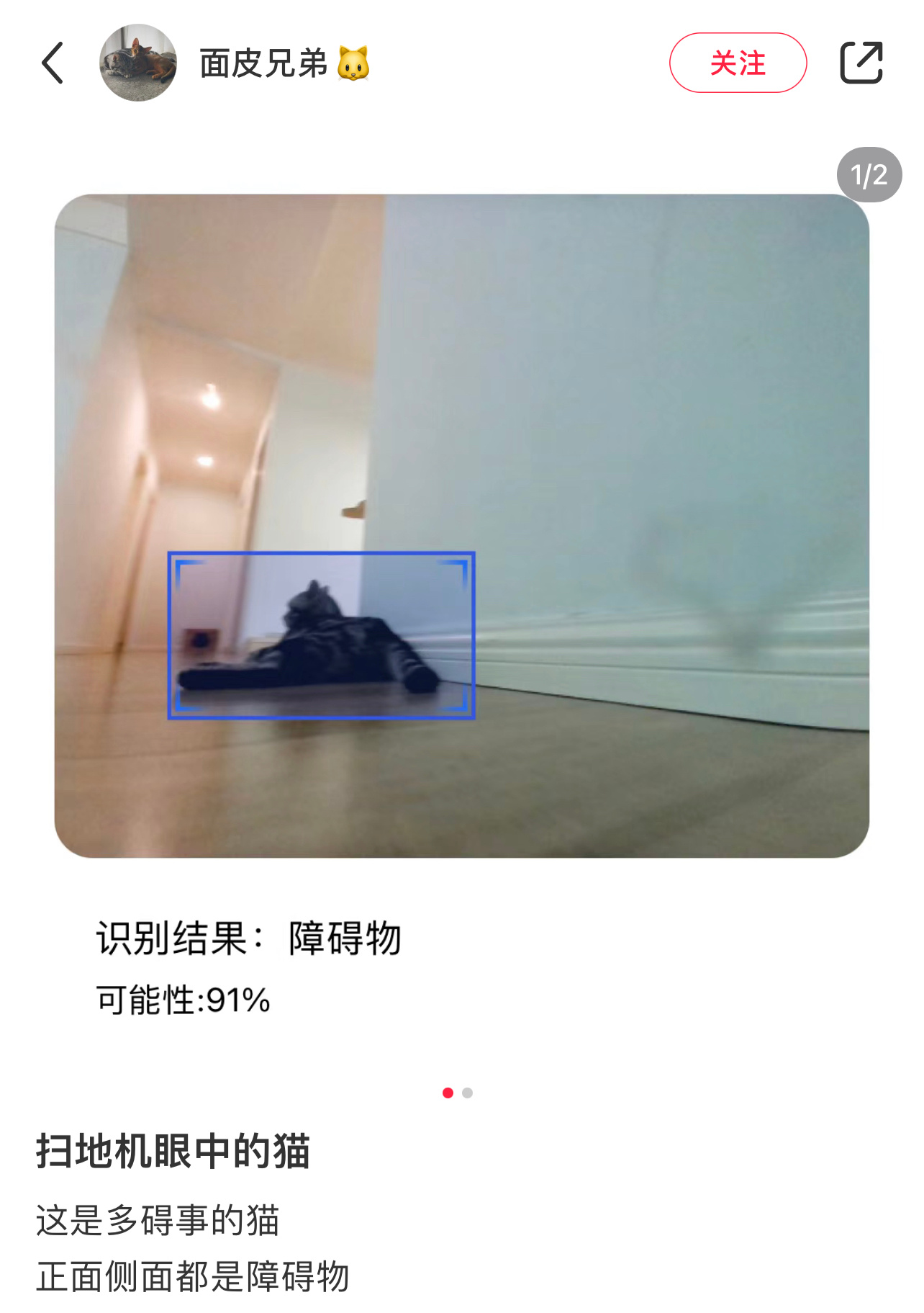 扫地机器人眼中的猫 ​​​