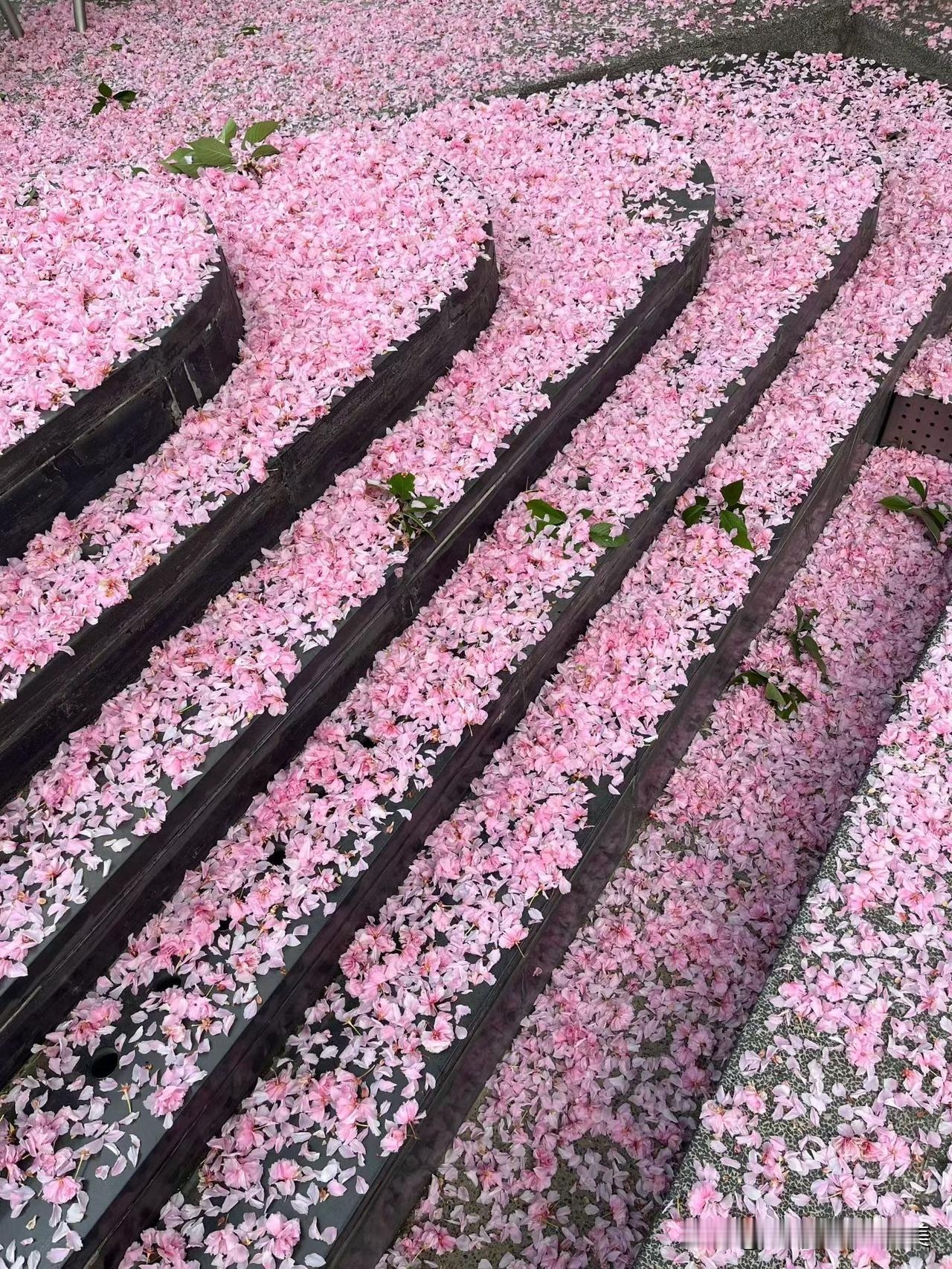 简直是美轮美奂，美不胜收！还有什么语言可以来形容？评论区留言