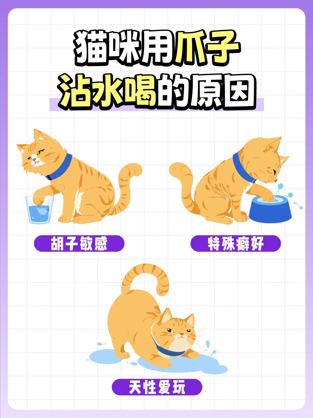 🐱✨猫咪用爪子沾水喝的原因大揭秘✨🐱