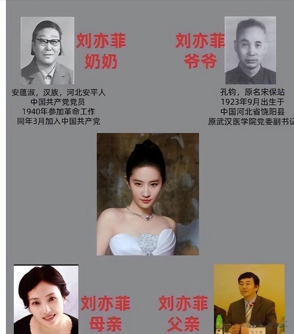 沉默的父亲，热搜的风暴，被删掉的简历。
最近网上全在说刘亦菲妈妈多不容易，可她爸