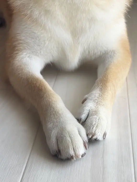 爱你的形状