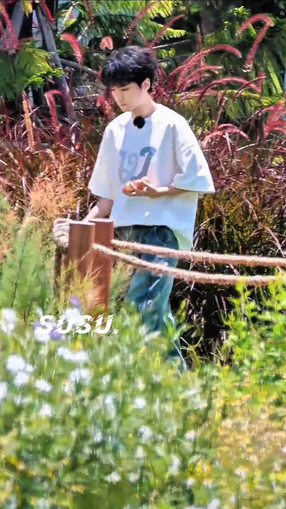 今天的发型是锅盖头 