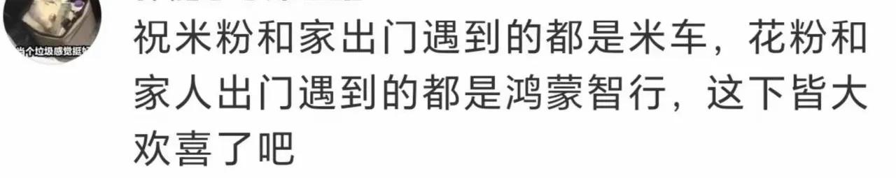 皆大欢喜的米粉和花粉纠纷解决方案
就是有点考验两家粉的组织能力
同家约好一起出门