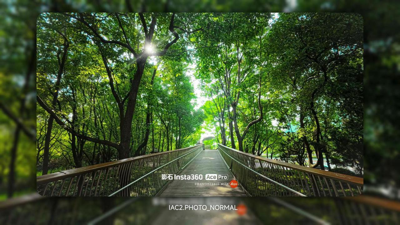 愿你前途一片坦荡，通向阳光大道。设备:影石acepro参数:参数:亮度-0.1 
