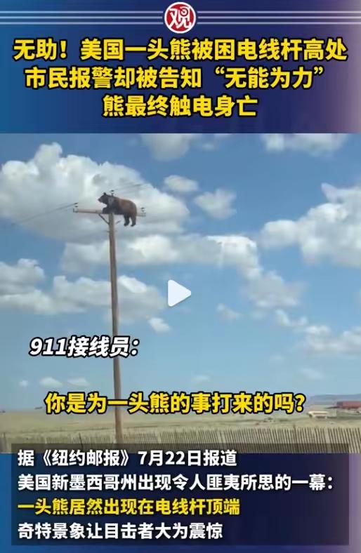 看来美国人更喜欢麻雀一些。
当年为了救一只电线上麻雀，美国总统可是下令全国大停电