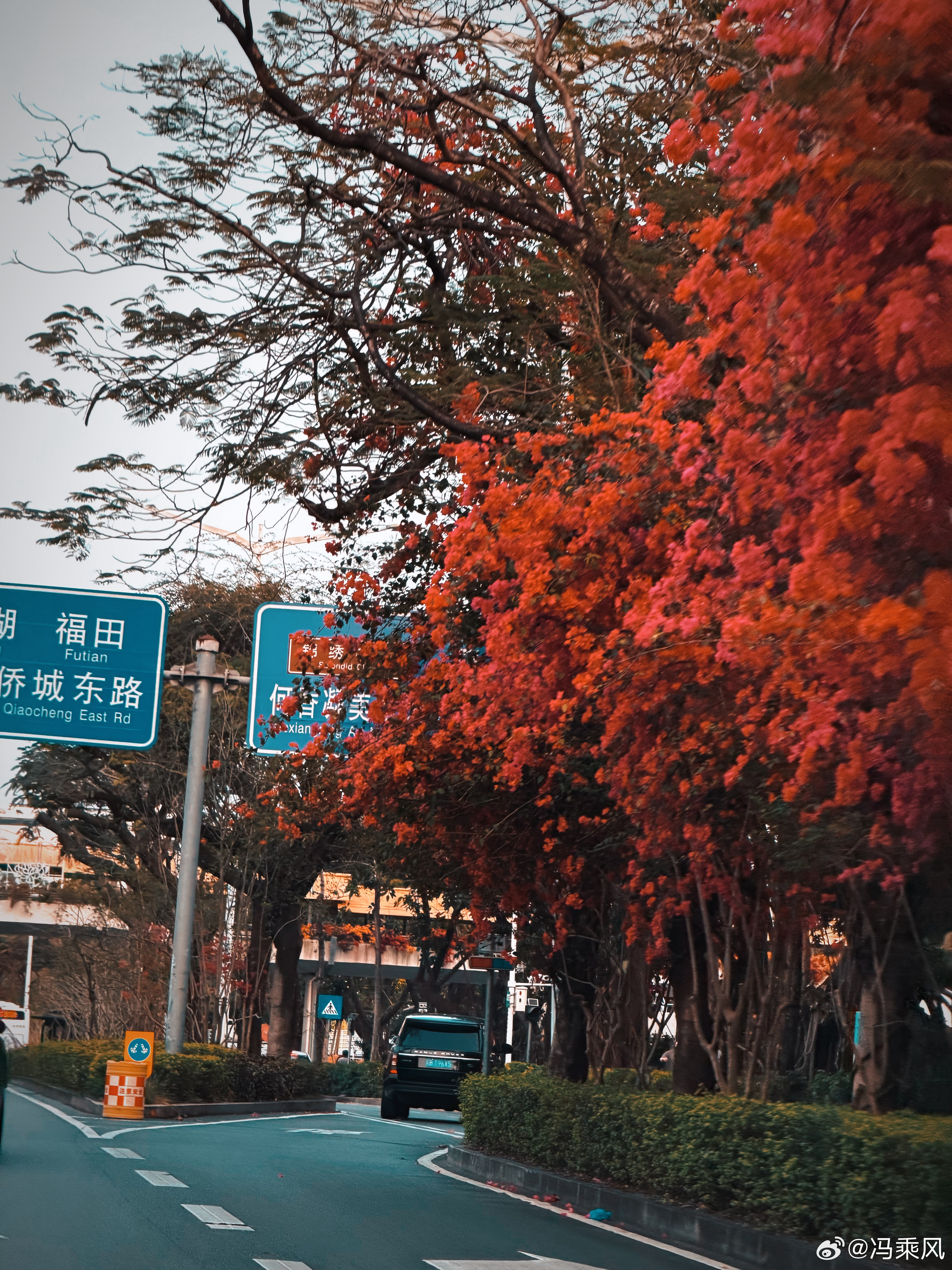 遇事不决，可问春风。春风不语，叫我充大会员再问。 深圳